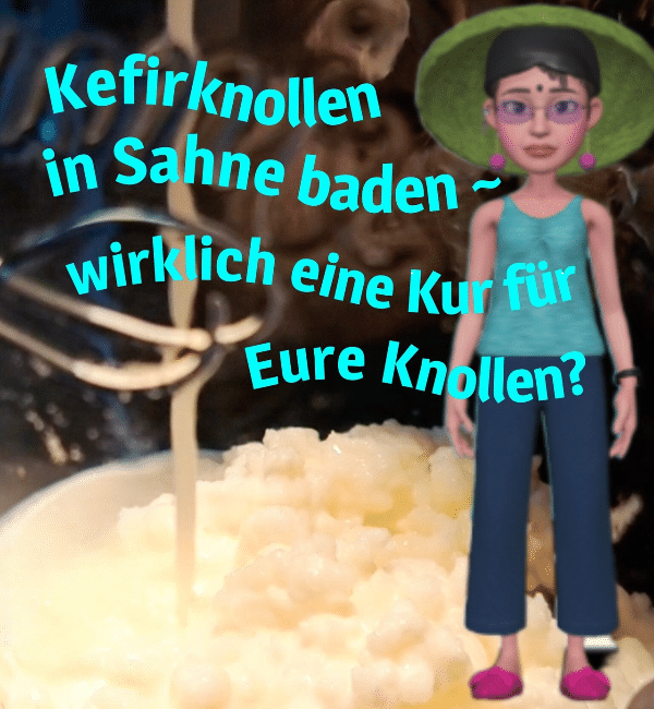 Kefirknollen in Sahne baden – wirklich eine Kur für Eure Knollen?